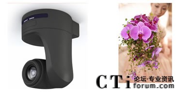 �������^���r�С�����